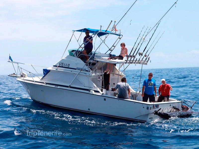 nolimit fishing boat