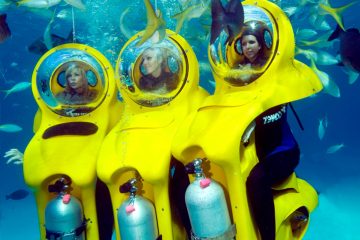 Bob Diving mit 3 Mädchen